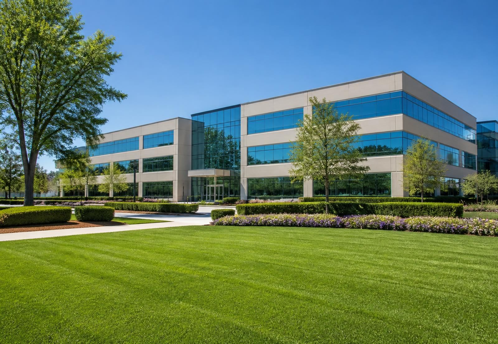 Manicured lawn and hedges at a modern Virginia Beach office building