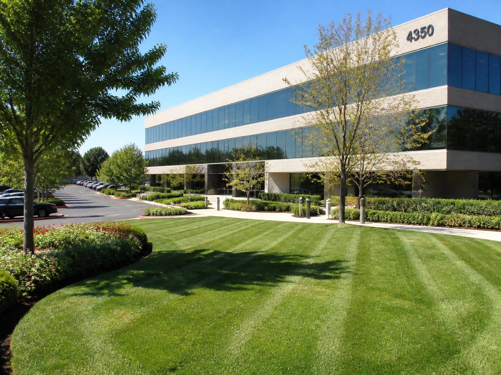 Well-maintained office park lawn with mown grass lines and edged walkways in Virginia Beach